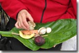 skunk cabbage platter