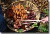 root veggies in basket