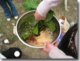 beating soapberries with salal leaves